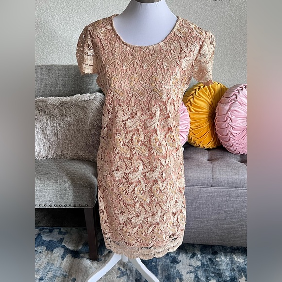 Blush Nude Crochet Lace Sheath Dress by Michael K - Picture 4 of 9